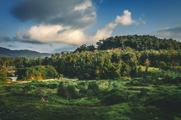Quels sont les meilleurs circuits pour une randonnée en forêt tropicale au Costa Rica ?